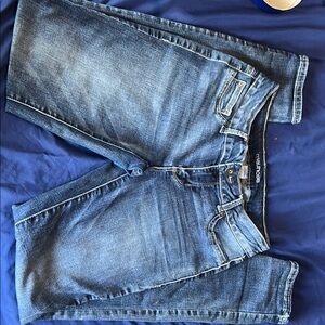 Maurices Classic Blue Jeans